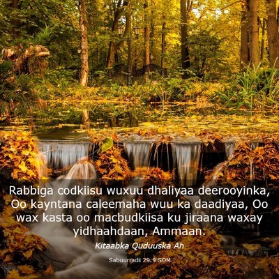 Picture 03 - Sabuurradii 29:9 SOM - Rabbiga codkiisu wuxuu dhaliyaa deerooyinka, Oo - Bible Verse Picture