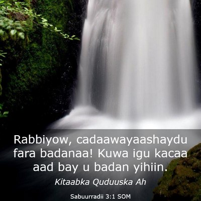 Picture 03 - Sabuurradii 3:1 SOM - Rabbiyow, cadaawayaashaydu fara badanaa! Kuwa igu - Bible Verse Picture