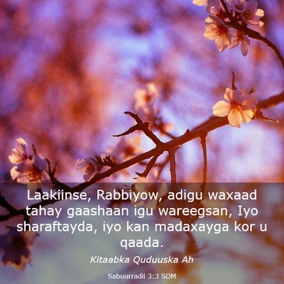 Picture 03 - Sabuurradii 3:3 SOM - Laakiinse, Rabbiyow, adigu waxaad tahay gaashaan - Bible Verse Picture