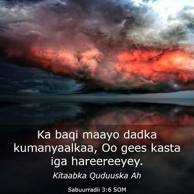 Picture 03 - Sabuurradii 3:6 SOM - Ka baqi maayo dadka kumanyaalkaa, Oo gees kasta - Bible Verse Picture