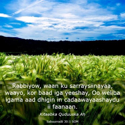 Picture 03 - Sabuurradii 30:1 SOM - Rabbiyow, waan ku sarraysiinayaa, waayo, kor baad - Bible Verse Picture