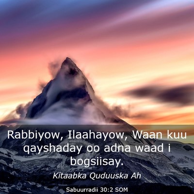 Picture 03 - Sabuurradii 30:2 SOM - Rabbiyow, Ilaahayow, Waan kuu qayshaday oo adna - Bible Verse Picture