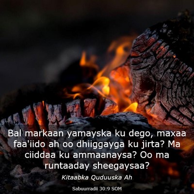 Picture 03 - Sabuurradii 30:9 SOM - Bal markaan yamayska ku dego, maxaa faa'iido ah - Bible Verse Picture
