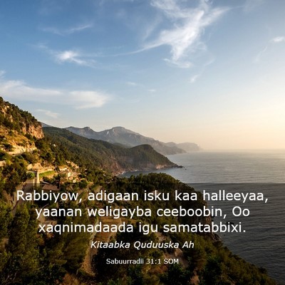 Picture 03 - Sabuurradii 31:1 SOM - Rabbiyow, adigaan isku kaa halleeyaa, yaanan - Bible Verse Picture