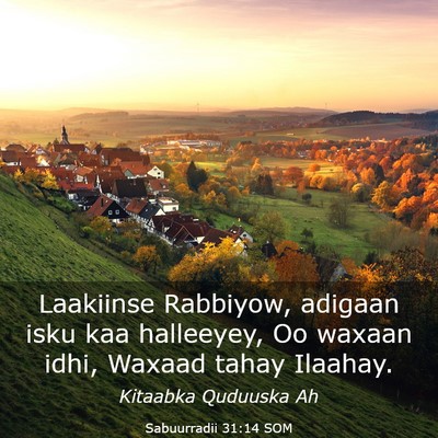 Picture 03 - Sabuurradii 31:14 SOM - Laakiinse Rabbiyow, adigaan isku kaa halleeyey, - Bible Verse Picture