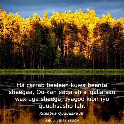 Picture 03 - Sabuurradii 31:18 SOM - Ha carrab beeleen kuwa beenta sheegaa, Oo kan - Bible Verse Picture