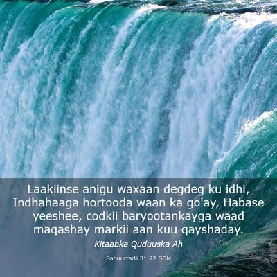 Picture 03 - Sabuurradii 31:22 SOM - Laakiinse anigu waxaan degdeg ku idhi, Indhahaaga - Bible Verse Picture