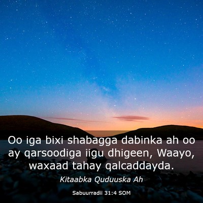 Picture 03 - Sabuurradii 31:4 SOM - Oo iga bixi shabagga dabinka ah oo ay qarsoodiga - Bible Verse Picture