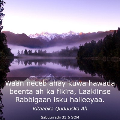 Picture 03 - Sabuurradii 31:6 SOM - Waan neceb ahay kuwa hawada beenta ah ka fikira, - Bible Verse Picture