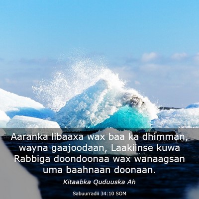 Picture 03 - Sabuurradii 34:10 SOM - Aaranka libaaxa wax baa ka dhimman, wayna - Bible Verse Picture