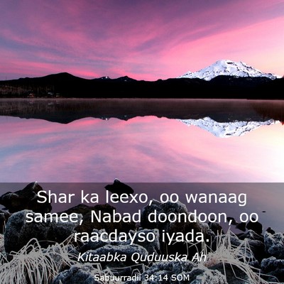 Picture 03 - Sabuurradii 34:14 SOM - Shar ka leexo, oo wanaag samee, Nabad doondoon, - Bible Verse Picture