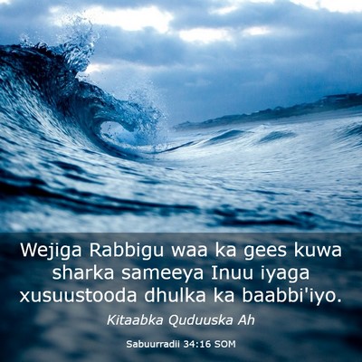 Picture 03 - Sabuurradii 34:16 SOM - Wejiga Rabbigu waa ka gees kuwa sharka sameeya - Bible Verse Picture