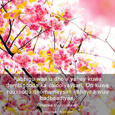 Picture 03 - Sabuurradii 34:18 SOM - Rabbigu waa u dhow yahay kuwa dembigooda ka - Bible Verse Picture