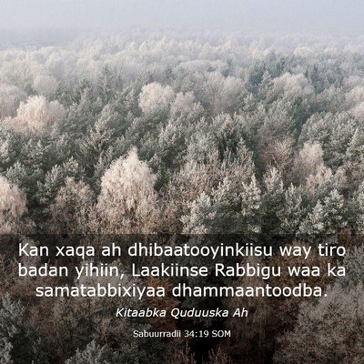 Picture 03 - Sabuurradii 34:19 SOM - Kan xaqa ah dhibaatooyinkiisu way tiro badan - Bible Verse Picture