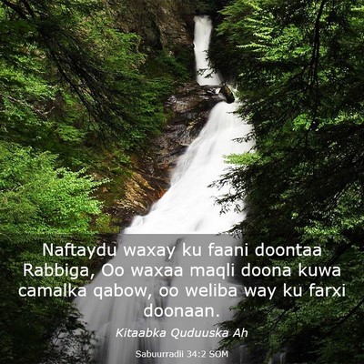 Picture 03 - Sabuurradii 34:2 SOM - Naftaydu waxay ku faani doontaa Rabbiga, Oo waxaa - Bible Verse Picture