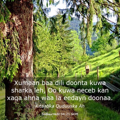 Picture 03 - Sabuurradii 34:21 SOM - Xumaan baa dili doonta kuwa sharka leh, Oo kuwa - Bible Verse Picture