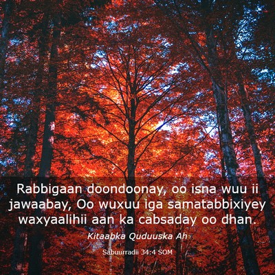 Picture 03 - Sabuurradii 34:4 SOM - Rabbigaan doondoonay, oo isna wuu ii jawaabay, Oo - Bible Verse Picture