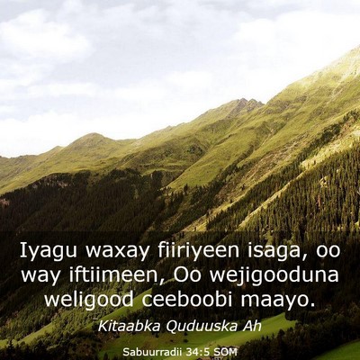 Picture 03 - Sabuurradii 34:5 SOM - Iyagu waxay fiiriyeen isaga, oo way iftiimeen, Oo - Bible Verse Picture