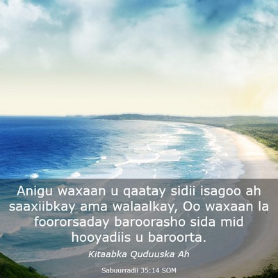 Picture 03 - Sabuurradii 35:14 SOM - Anigu waxaan u qaatay sidii isagoo ah saaxiibkay - Bible Verse Picture