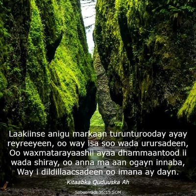 Picture 03 - Sabuurradii 35:15 SOM - Laakiinse anigu markaan turunturooday ayay - Bible Verse Picture