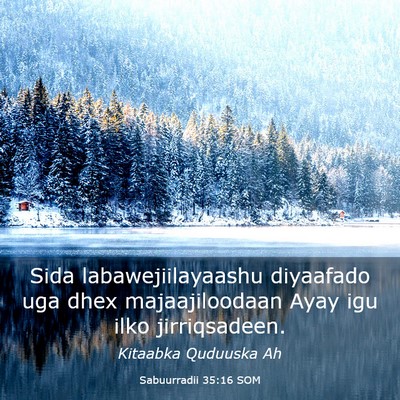 Picture 03 - Sabuurradii 35:16 SOM - Sida labawejiilayaashu diyaafado uga dhex - Bible Verse Picture