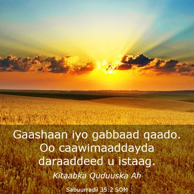 Picture 03 - Sabuurradii 35:2 SOM - Gaashaan iyo gabbaad qaado. Oo caawimaaddayda - Bible Verse Picture