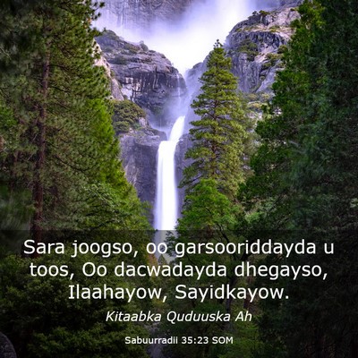 Picture 03 - Sabuurradii 35:23 SOM - Sara joogso, oo garsooriddayda u toos, Oo - Bible Verse Picture