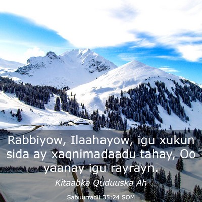 Picture 03 - Sabuurradii 35:24 SOM - Rabbiyow, Ilaahayow, igu xukun sida ay - Bible Verse Picture