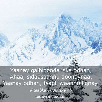 Picture 03 - Sabuurradii 35:25 SOM - Yaanay qalbigooda iska odhan, Ahaa, sidaasaannu - Bible Verse Picture