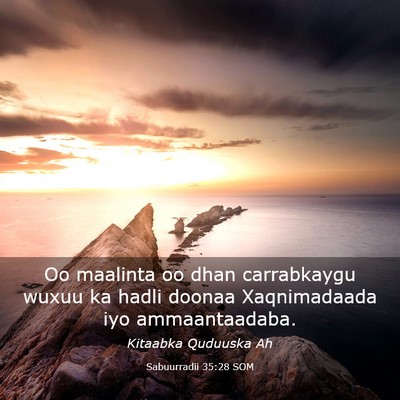 Picture 03 - Sabuurradii 35:28 SOM - Oo maalinta oo dhan carrabkaygu wuxuu ka hadli - Bible Verse Picture