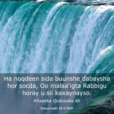 Picture 03 - Sabuurradii 35:5 SOM - Ha noqdeen sida buunshe dabaysha hor socda, Oo - Bible Verse Picture