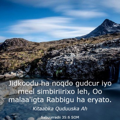 Picture 03 - Sabuurradii 35:6 SOM - Jidkoodu ha noqdo gudcur iyo meel simbiriirixo - Bible Verse Picture