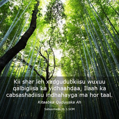 Picture 03 - Sabuurradii 36:1 SOM - Kii shar leh xadgudubkiisu wuxuu qalbigiisa ka - Bible Verse Picture