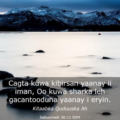 Picture 03 - Sabuurradii 36:11 SOM - Cagta kuwa kibirsan yaanay ii iman, Oo kuwa - Bible Verse Picture