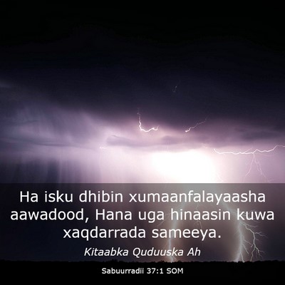 Picture 03 - Sabuurradii 37:1 SOM - Ha isku dhibin xumaanfalayaasha aawadood, Hana - Bible Verse Picture