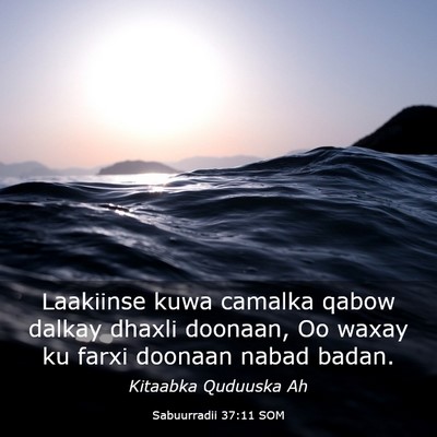 Picture 03 - Sabuurradii 37:11 SOM - Laakiinse kuwa camalka qabow dalkay dhaxli - Bible Verse Picture