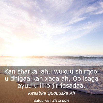 Picture 03 - Sabuurradii 37:12 SOM - Kan sharka lahu wuxuu shirqool u dhigaa kan xaqa - Bible Verse Picture