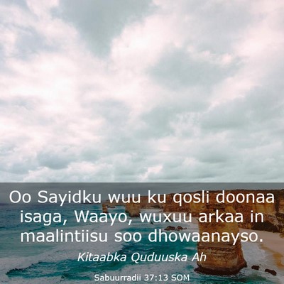 Picture 03 - Sabuurradii 37:13 SOM - Oo Sayidku wuu ku qosli doonaa isaga, Waayo, - Bible Verse Picture