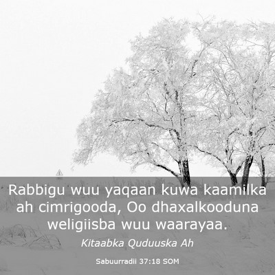 Picture 03 - Sabuurradii 37:18 SOM - Rabbigu wuu yaqaan kuwa kaamilka ah cimrigooda, - Bible Verse Picture