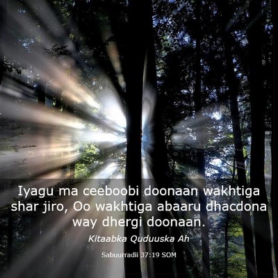 Picture 03 - Sabuurradii 37:19 SOM - Iyagu ma ceeboobi doonaan wakhtiga shar jiro, Oo - Bible Verse Picture