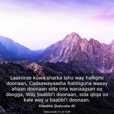 Picture 03 - Sabuurradii 37:20 SOM - Laakiinse kuwa sharka lahu way halligmi doonaan, - Bible Verse Picture