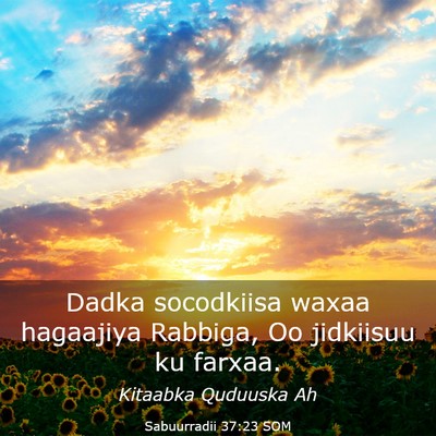 Picture 03 - Sabuurradii 37:23 SOM - Dadka socodkiisa waxaa hagaajiya Rabbiga, Oo - Bible Verse Picture