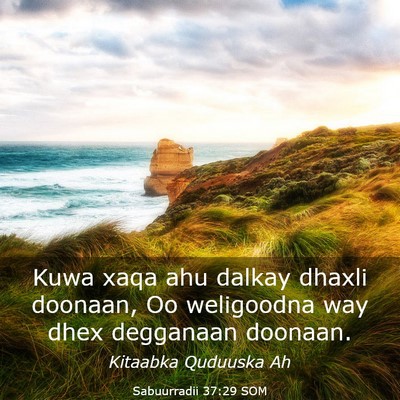 Picture 03 - Sabuurradii 37:29 SOM - Kuwa xaqa ahu dalkay dhaxli doonaan, Oo - Bible Verse Picture