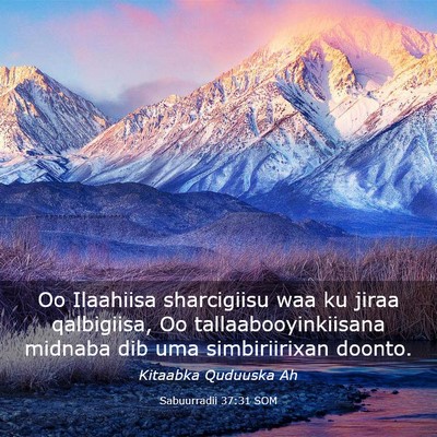 Picture 03 - Sabuurradii 37:31 SOM - Oo Ilaahiisa sharcigiisu waa ku jiraa qalbigiisa, - Bible Verse Picture
