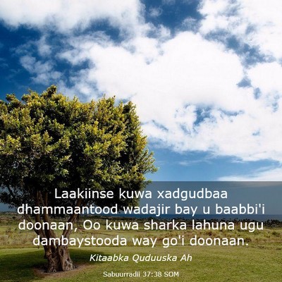 Picture 03 - Sabuurradii 37:38 SOM - Laakiinse kuwa xadgudbaa dhammaantood wadajir bay - Bible Verse Picture