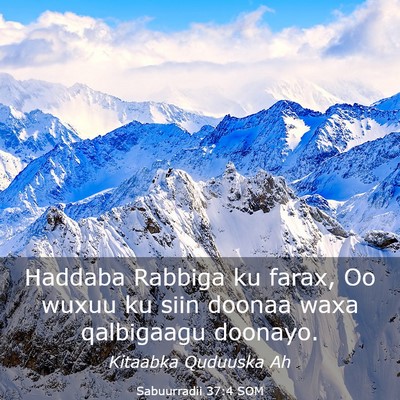 Picture 03 - Sabuurradii 37:4 SOM - Haddaba Rabbiga ku farax, Oo wuxuu ku siin doonaa - Bible Verse Picture