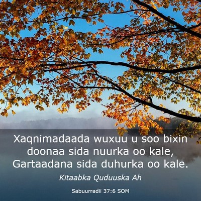 Picture 03 - Sabuurradii 37:6 SOM - Xaqnimadaada wuxuu u soo bixin doonaa sida nuurka - Bible Verse Picture