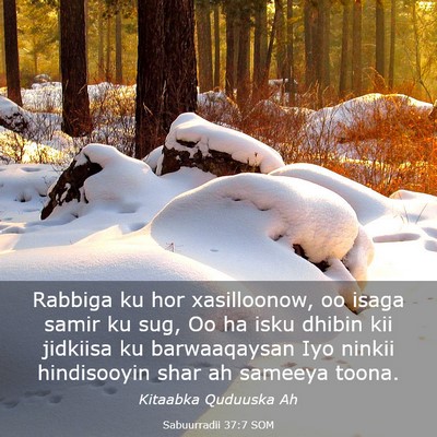 Picture 03 - Sabuurradii 37:7 SOM - Rabbiga ku hor xasilloonow, oo isaga samir ku - Bible Verse Picture