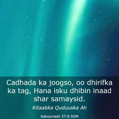 Picture 03 - Sabuurradii 37:8 SOM - Cadhada ka joogso, oo dhirifka ka tag, Hana isku - Bible Verse Picture