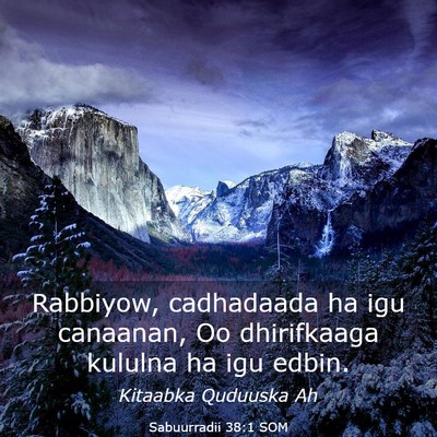 Picture 03 - Sabuurradii 38:1 SOM - Rabbiyow, cadhadaada ha igu canaanan, Oo - Bible Verse Picture